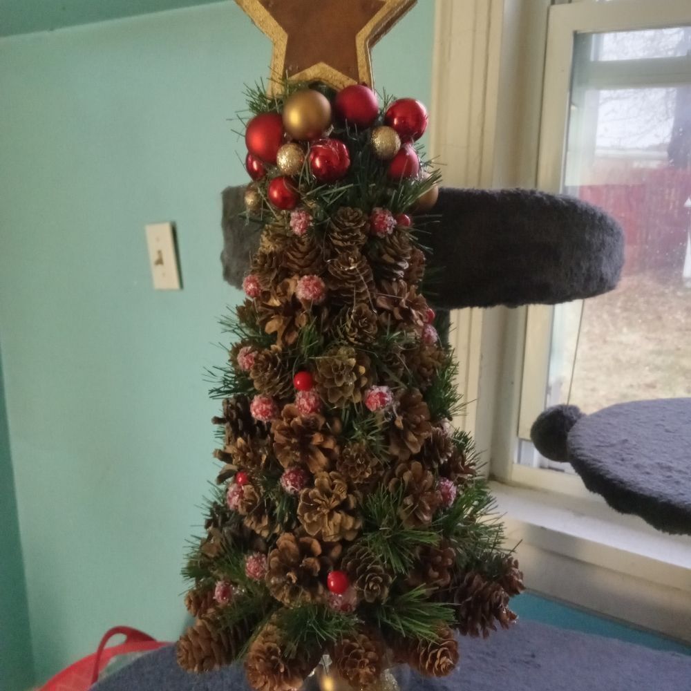 20" Natural Pine Cone (treated) Christmas Tree. CHRISTMAS ART.